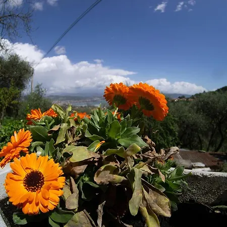 Apartamento Gli Ulivi Sul Golfo E Le 5 Terre *