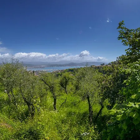 Gli Ulivi Sul Golfo E Le 5 Terre Apartamento