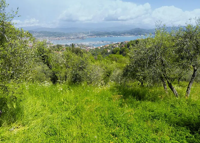 Gli Ulivi Sul Golfo E Le 5 Terre Διαμέρισμα *