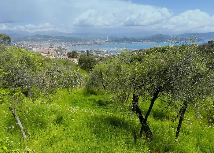 Gli Ulivi Sul Golfo E Le 5 Terre