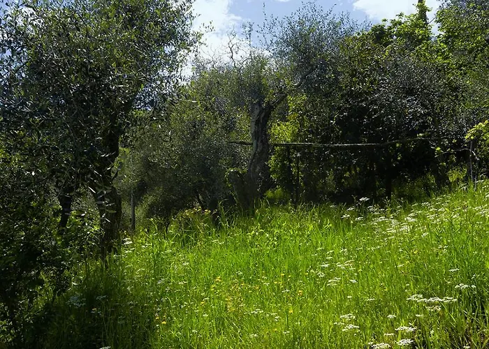 Gli Ulivi Sul Golfo E Le 5 Terre Λα Σπέτσια