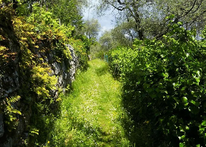 Gli Ulivi Sul Golfo E Le 5 Terre Λα Σπέτσια