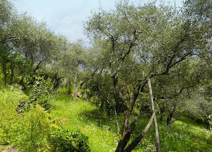 Διαμέρισμα Gli Ulivi Sul Golfo E Le 5 Terre Λα Σπέτσια