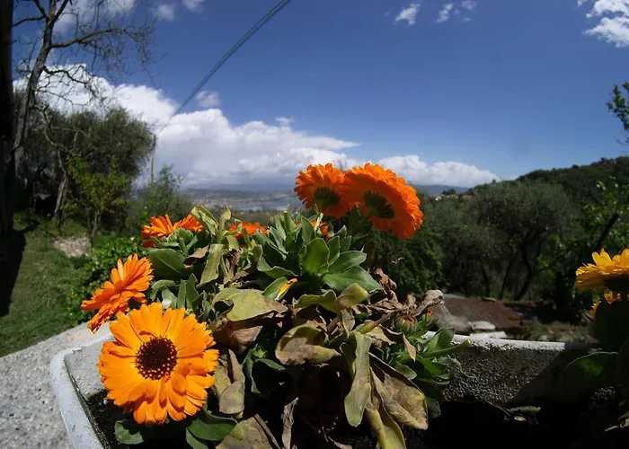 Διαμέρισμα Gli Ulivi Sul Golfo E Le 5 Terre *