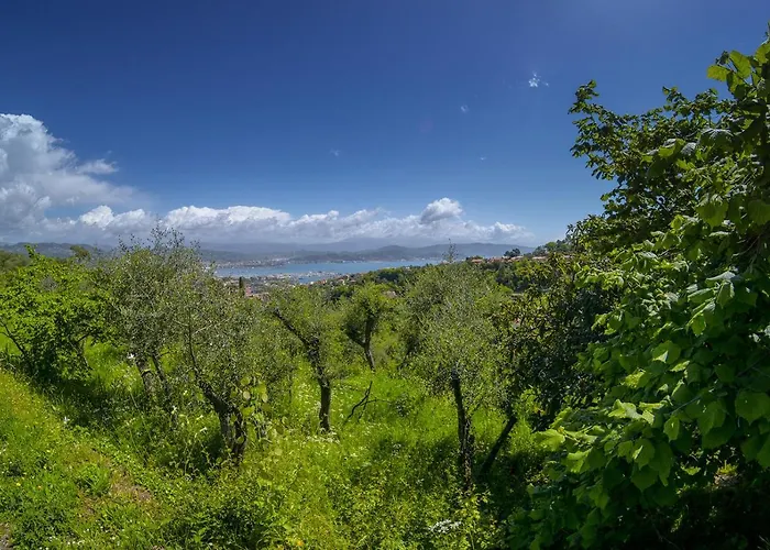 Gli Ulivi Sul Golfo E Le 5 Terre شقة