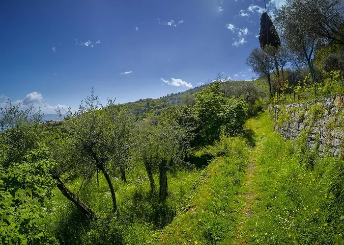 Διαμέρισμα Gli Ulivi Sul Golfo E Le 5 Terre Λα Σπέτσια