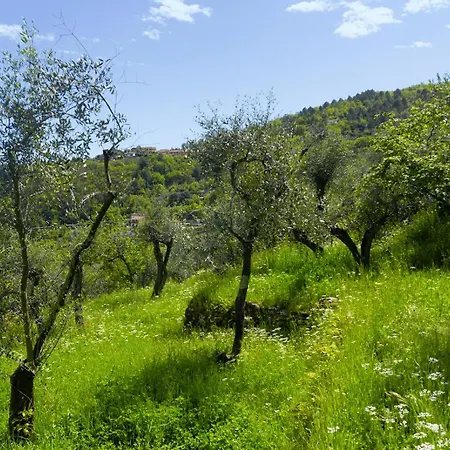 Gli Ulivi Sul Golfo E Le 5 Terre 公寓 斯培西亚