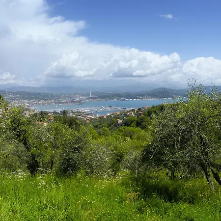 公寓 Gli Ulivi Sul Golfo E Le 5 Terre 斯培西亚