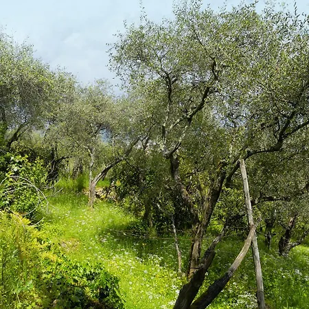 公寓 Gli Ulivi Sul Golfo E Le 5 Terre 斯培西亚