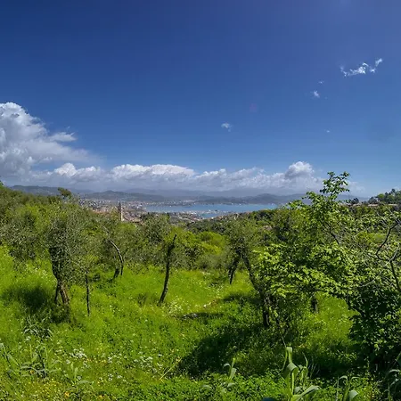 Gli Ulivi Sul Golfo E Le 5 Terre 公寓 *