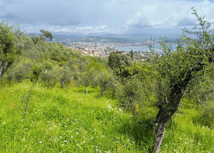 Gli Ulivi Sul Golfo E Le 5 Terre